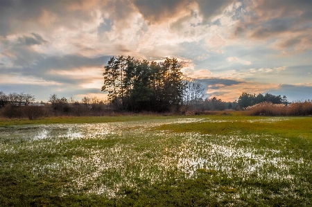 Landscape tree water nature Photo