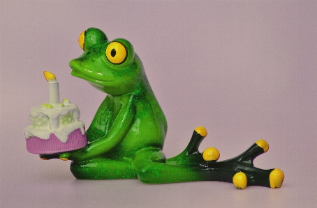 Sweet cute green frog Photo