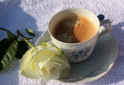 Foto All'aperto caffè luce del sole tè