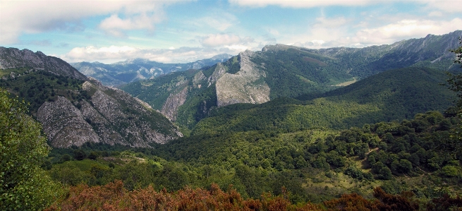 Foto Paesaggio natura foresta selvaggia
