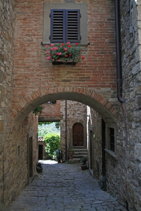 Die architektur straße haus fenster