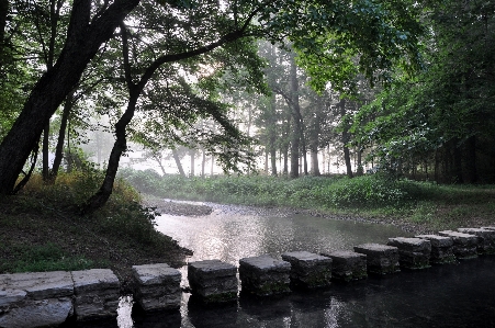 Landscape tree water nature Photo