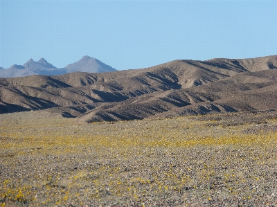 Landscape nature sand horizon Photo