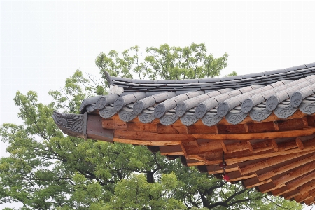 Landscape sky roof pattern Photo