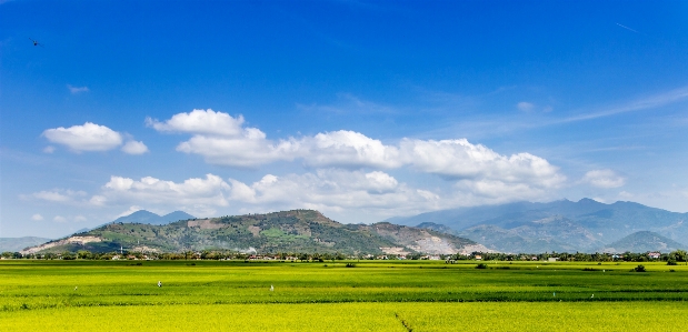 Landscape grass horizon mountain Photo