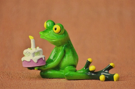 Sweet cute green frog Photo