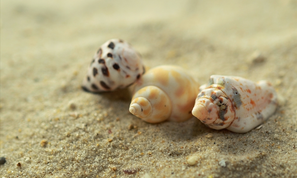 Beach sand spiral travel