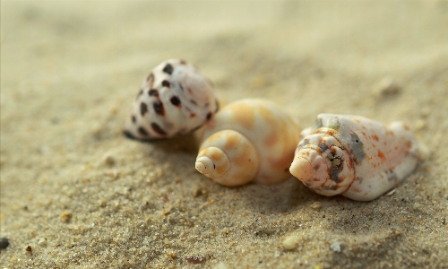 Beach sand spiral travel Photo