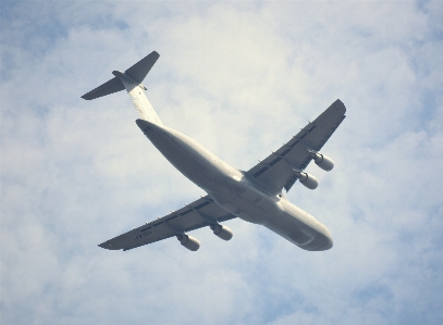 羽 空気 飛行 飛ぶ 写真