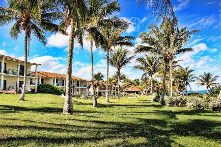 Beach tree sky lawn Photo