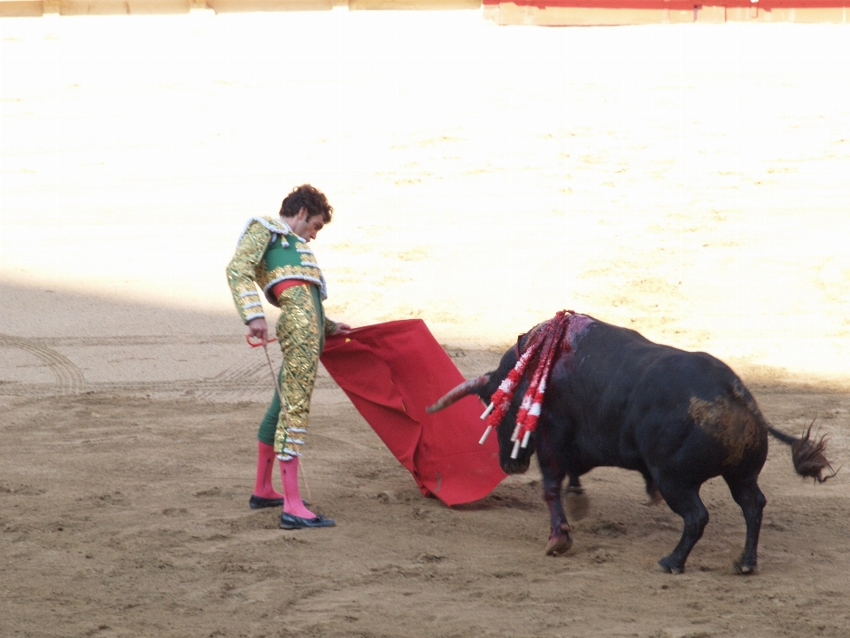 Touro espanha esportes desempenho