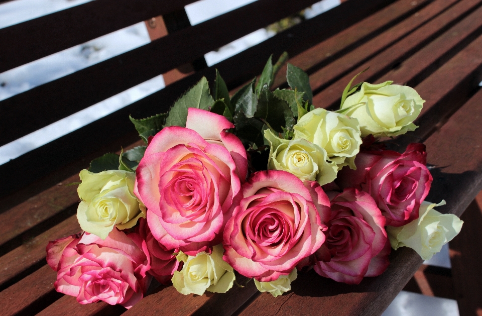 Plant flower petal bouquet