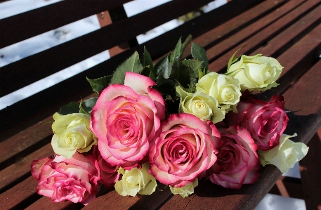 Plant flower petal bouquet Photo