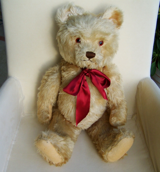 Toy teddy bear textile hairy