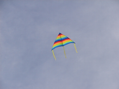 Outdoor sky fly summer Photo