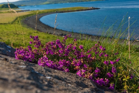 Beach landscape sea coast Photo