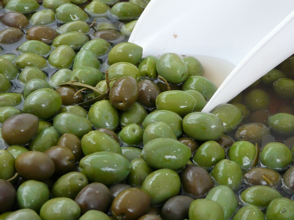 Anlage frucht gericht essen