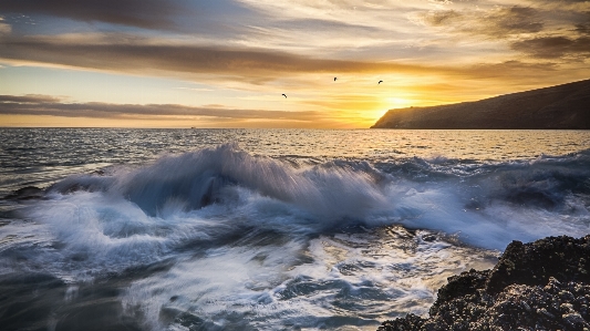 Beach sea coast rock Photo