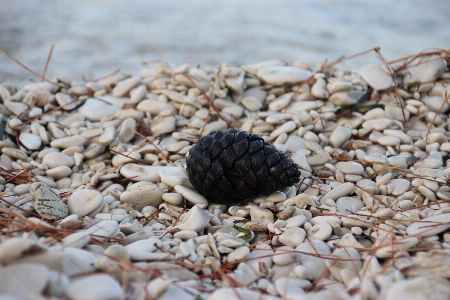 Beach sea water nature Photo