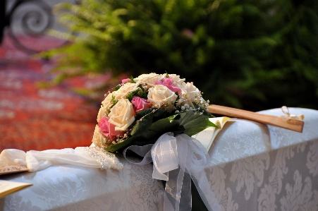 Plant white flower love Photo