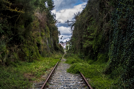 Foto Bosque montaña pista ferrocarril