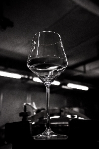 Light black and white wine glass Photo