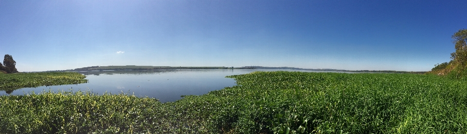 Acqua natura prato
 prateria
