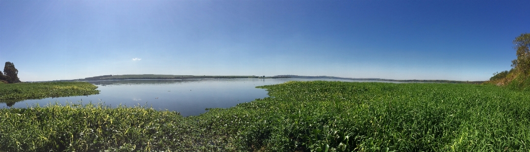 Foto água natureza prado
 pradaria
