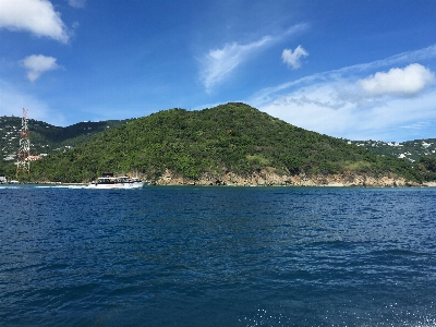 海 海岸 木 水 写真