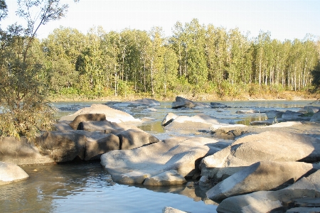 Wilderness river pond stream Photo