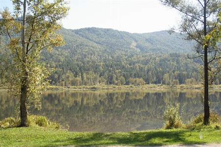 Foto árvore floresta região selvagem
 montanha