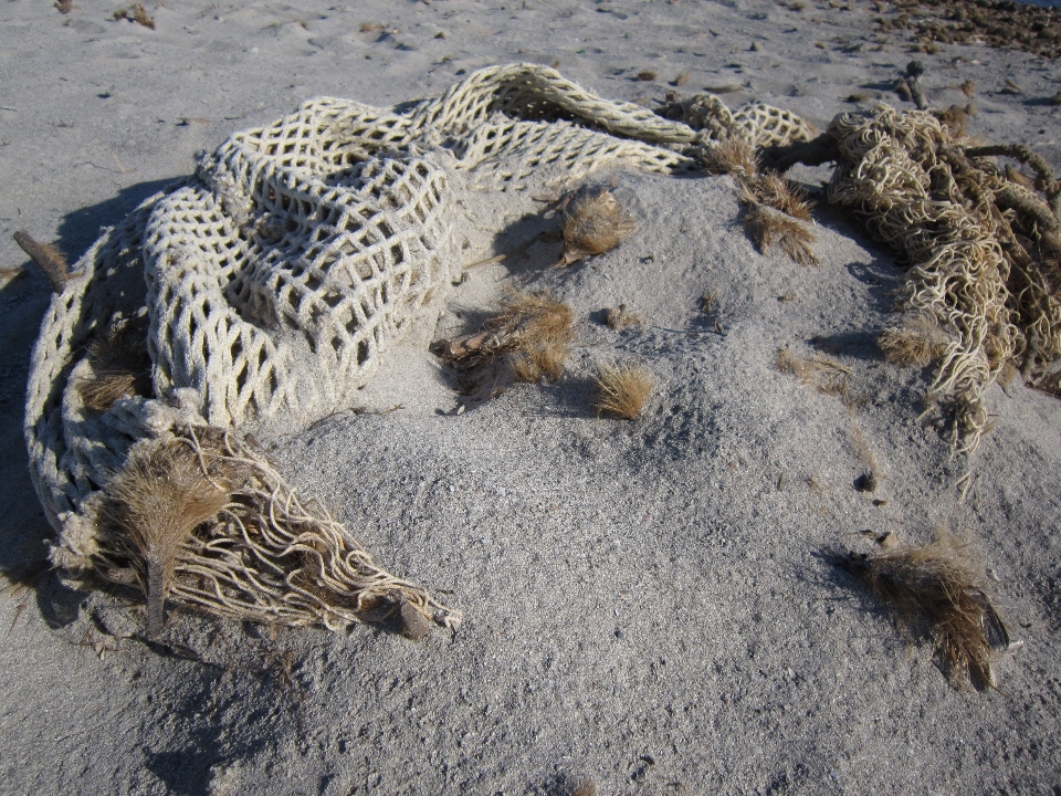 Plage mer sable soleil