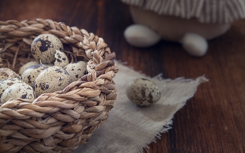 Foto Kayu bunga makanan menghasilkan