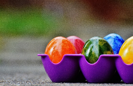 Foto Tanaman buah bunga makanan