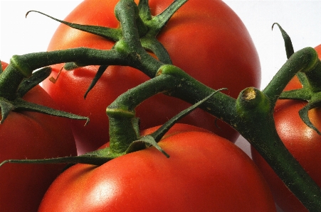 Foto Tanaman vine buah makanan