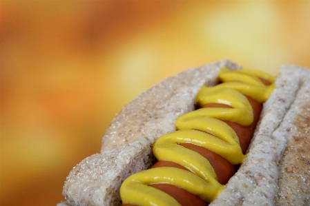 Restaurant dog summer dish Photo