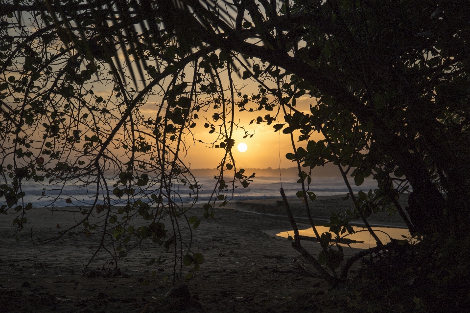 Beach landscape sea coast