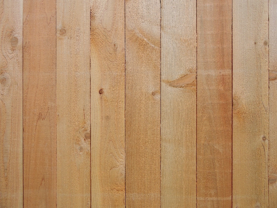 Fence wood plank floor