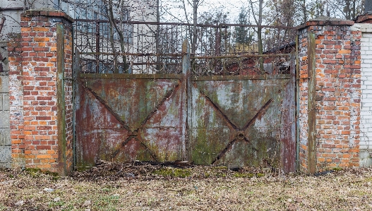 Fence plant old wall Photo