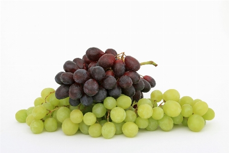 Nature plant grape vine Photo