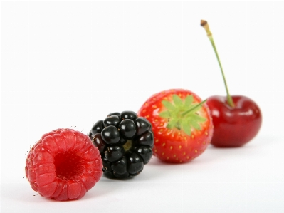 Plant white raspberry fruit Photo