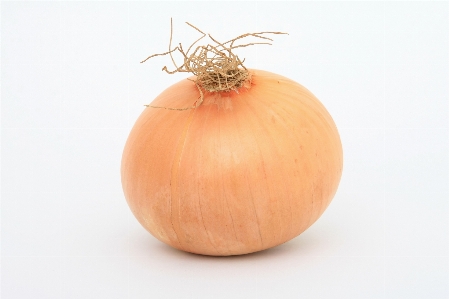 Plant white fruit isolated Photo