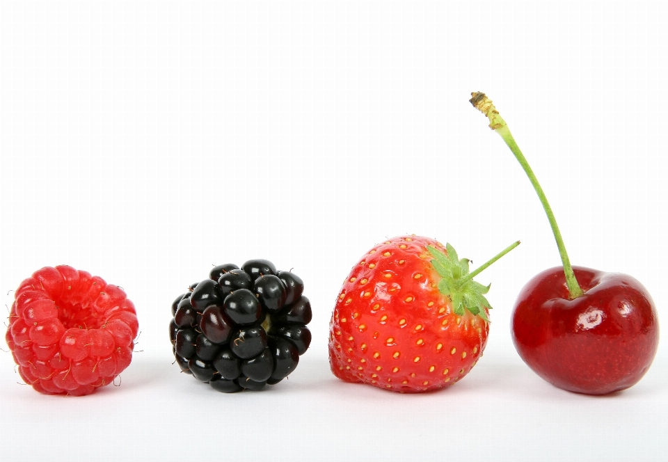 Plant white raspberry fruit