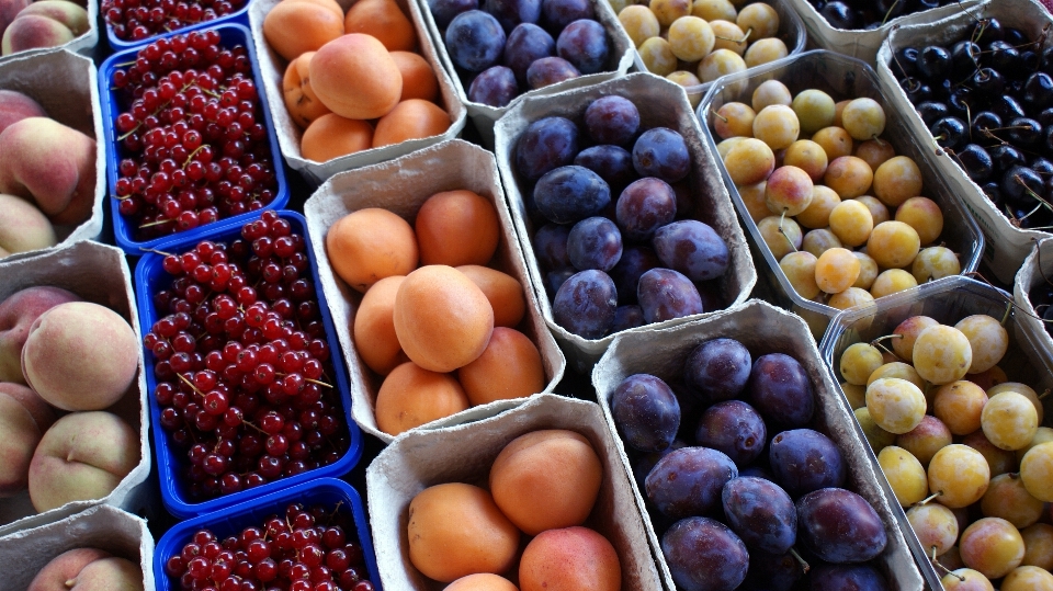 Plantar fruta cidade comida