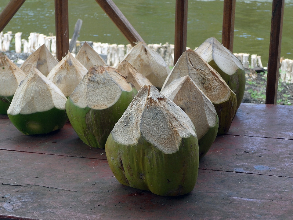 Eau usine fruit feuille