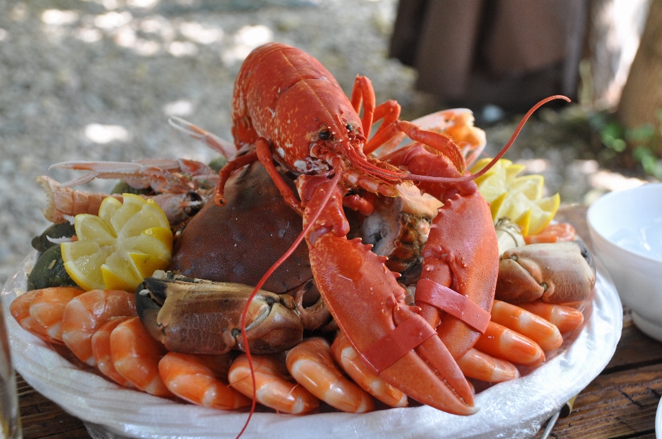 Plato alimento mariscos cocina