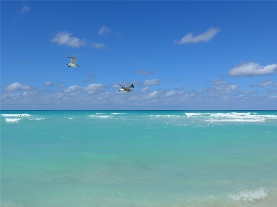 Beach sea coast ocean Photo