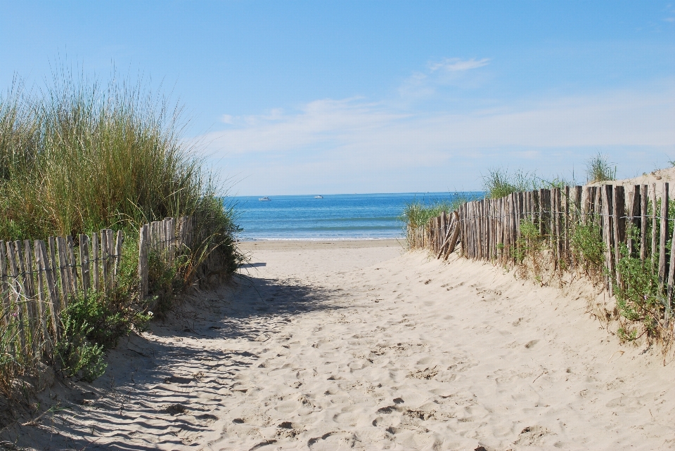 Strand meer küste sand