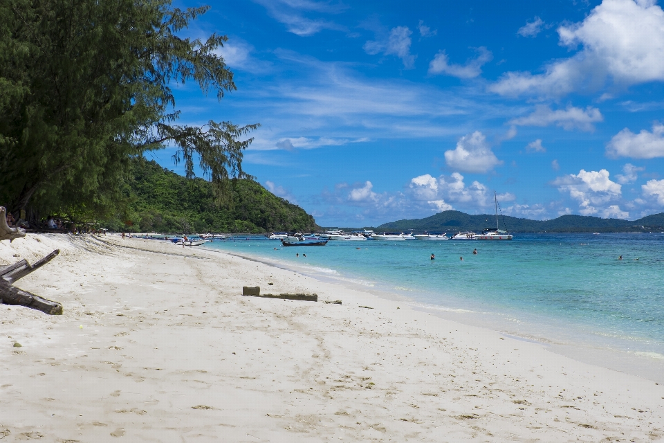 ビーチ 海 海岸 自然