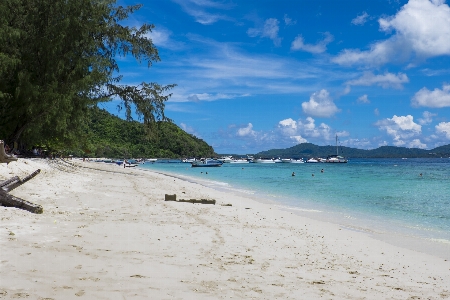 Beach sea coast nature Photo